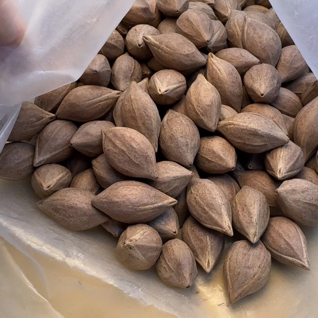 老***田手串/手链橄榄核1