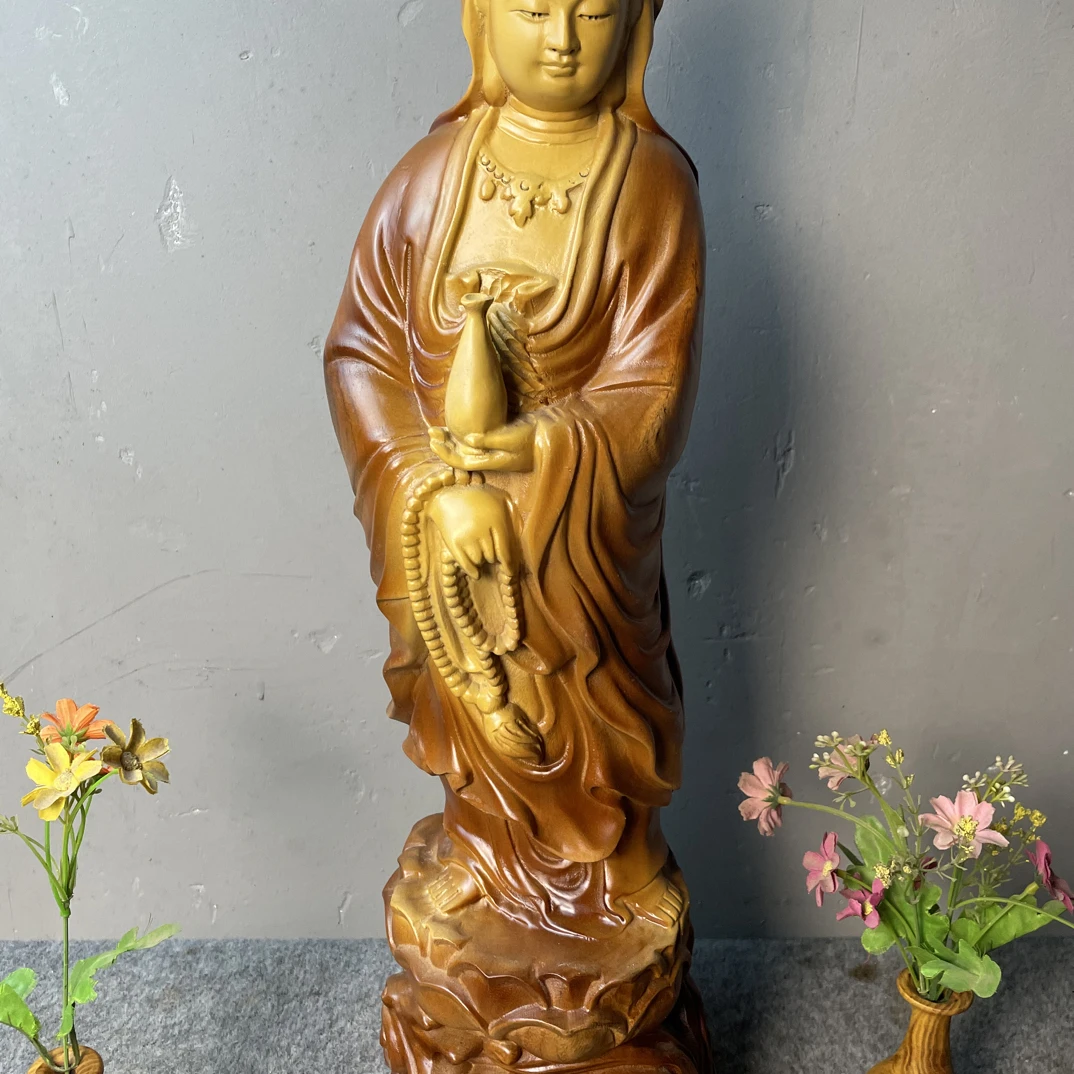 香樟木，漂亮姐姐。