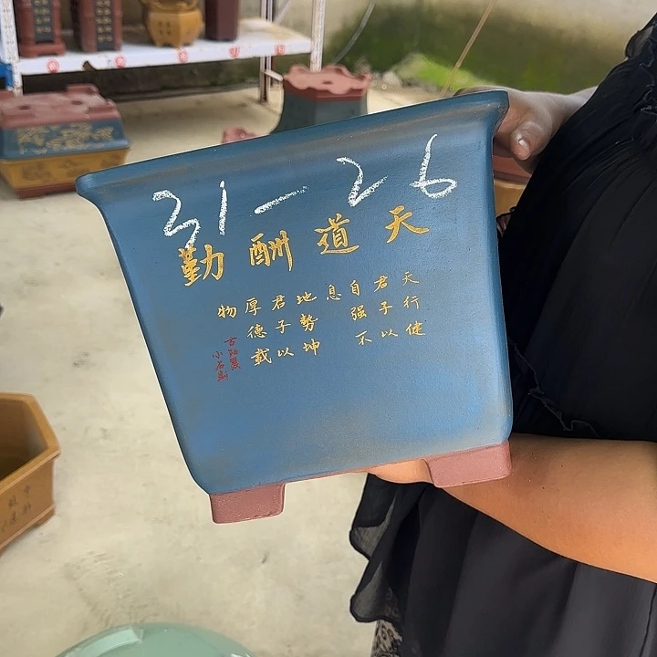 真的想看这篇了哈哈