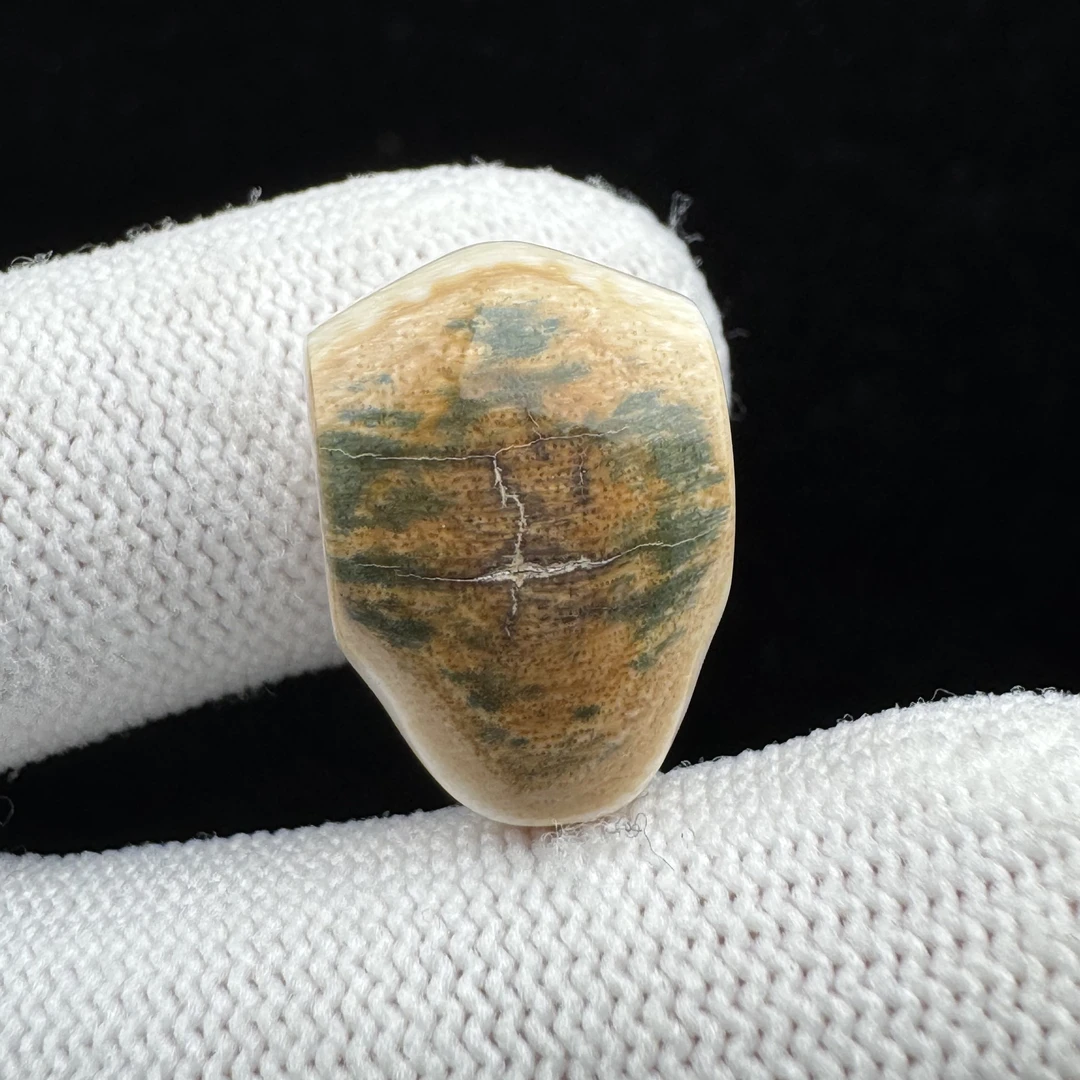 D4439天然猛犸象牙特色鲨鱼背三通12.7mm支持鉴定 假一罚四