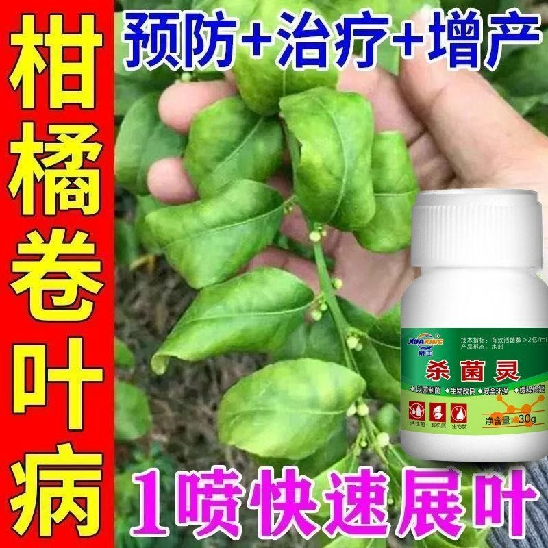 柑橘病全治柑橘卷叶病疮痂病炭疽病砂皮病黑斑黑星病柑橘