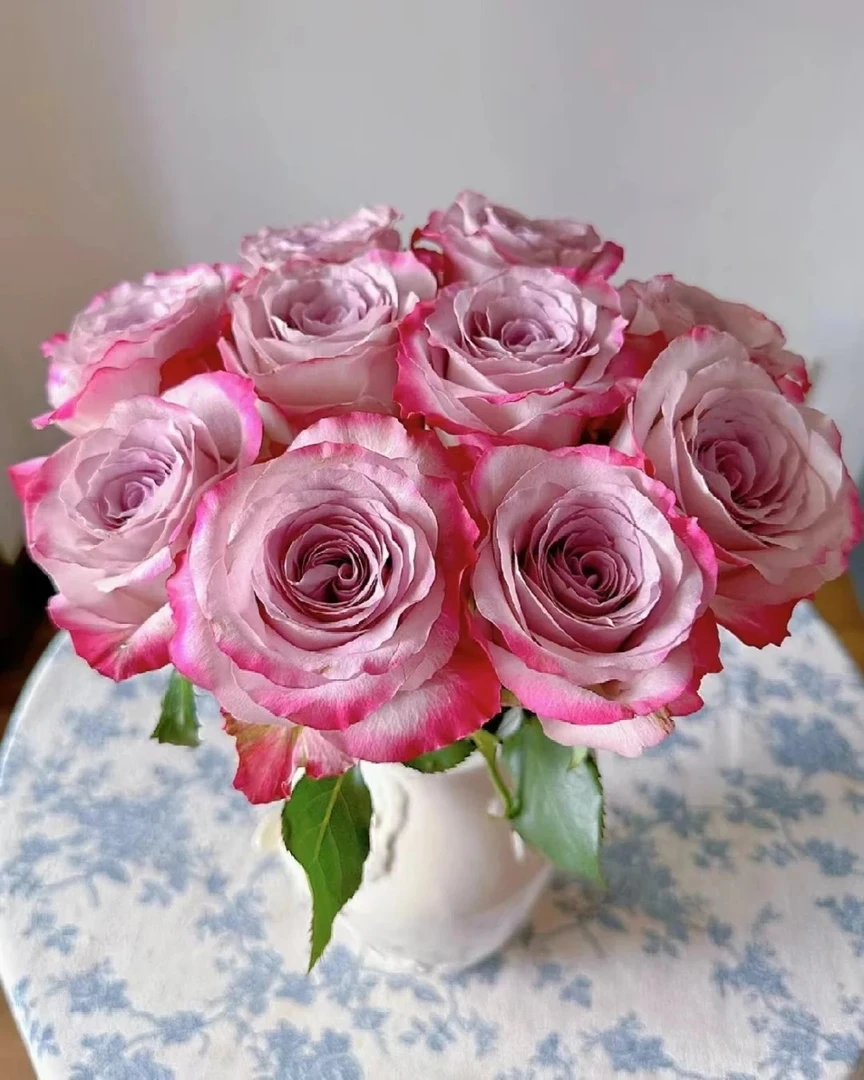 鲜花  气场玫瑰15只+5只防损  任意两单包邮