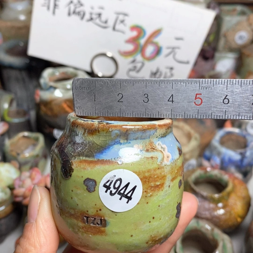 花盆拍5送一个小礼物