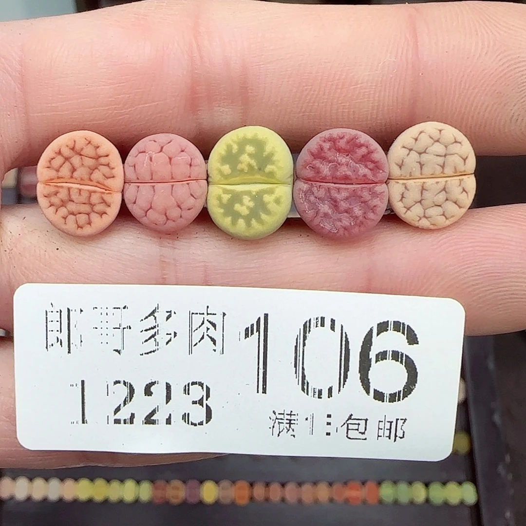 满满28包邮1223-106