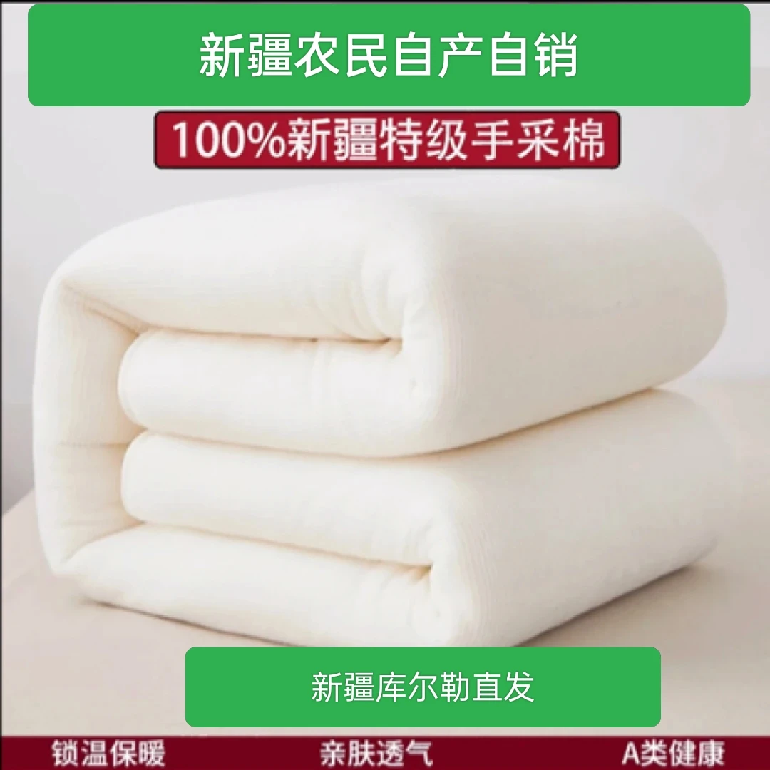 新疆棉花保暖春秋有网棉胎棉花被纯棉被芯冬被单人加厚床垫手工
