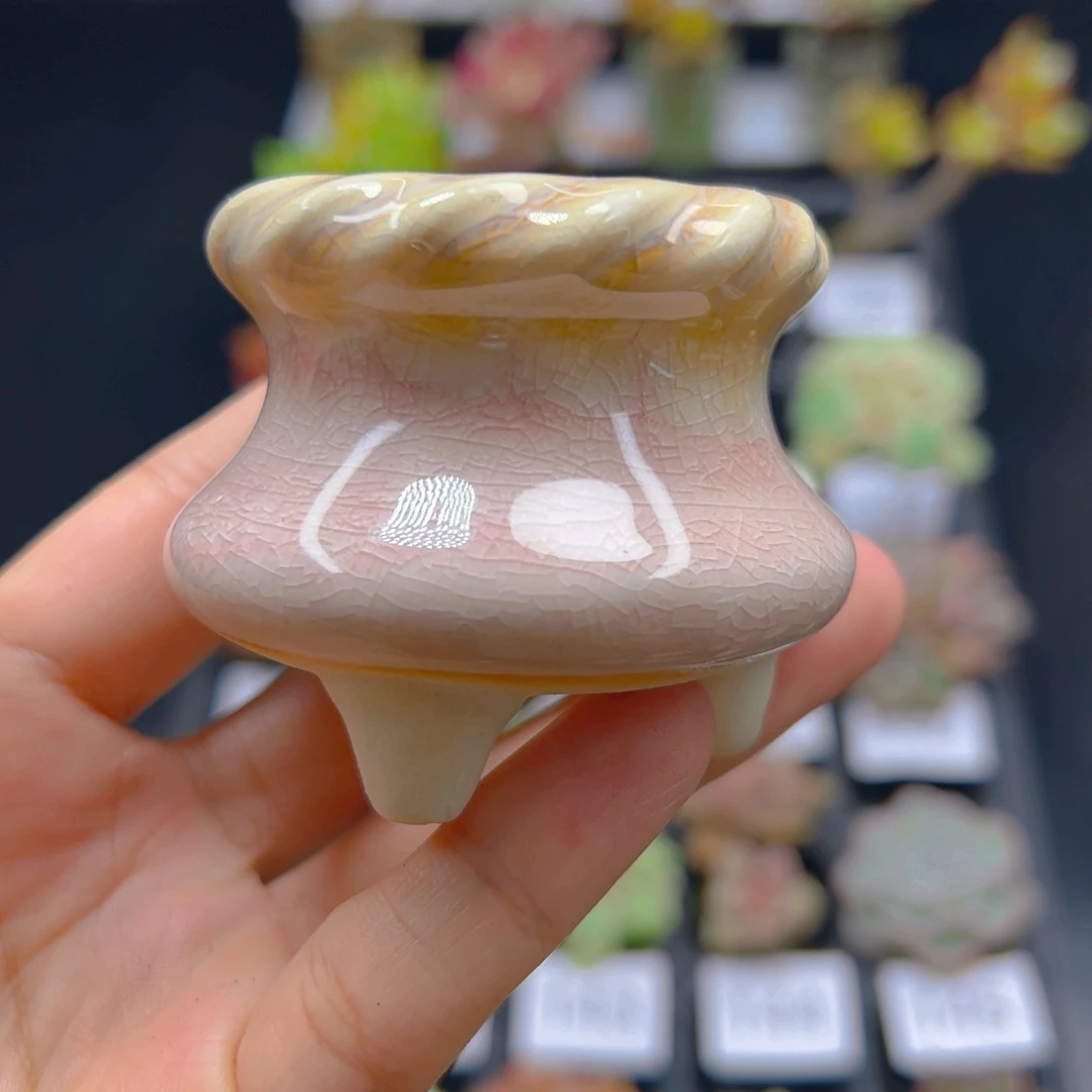 麻花盆一个，颜色随机