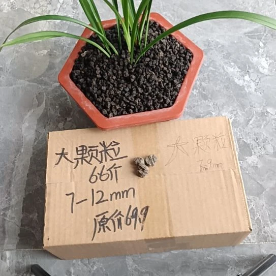 ****哥兰菌黑山土大颗粒6.6斤