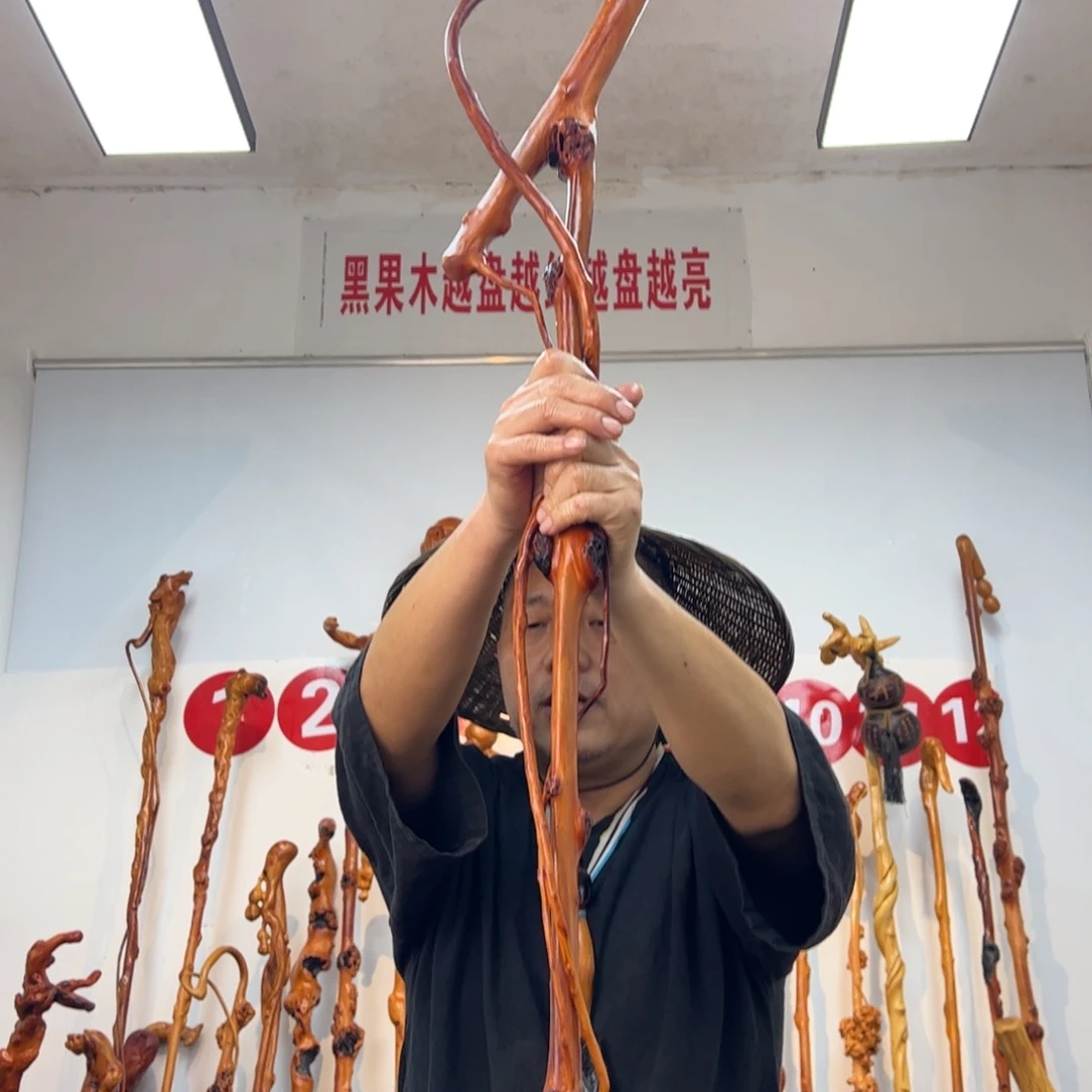其他黑果木黑果木404