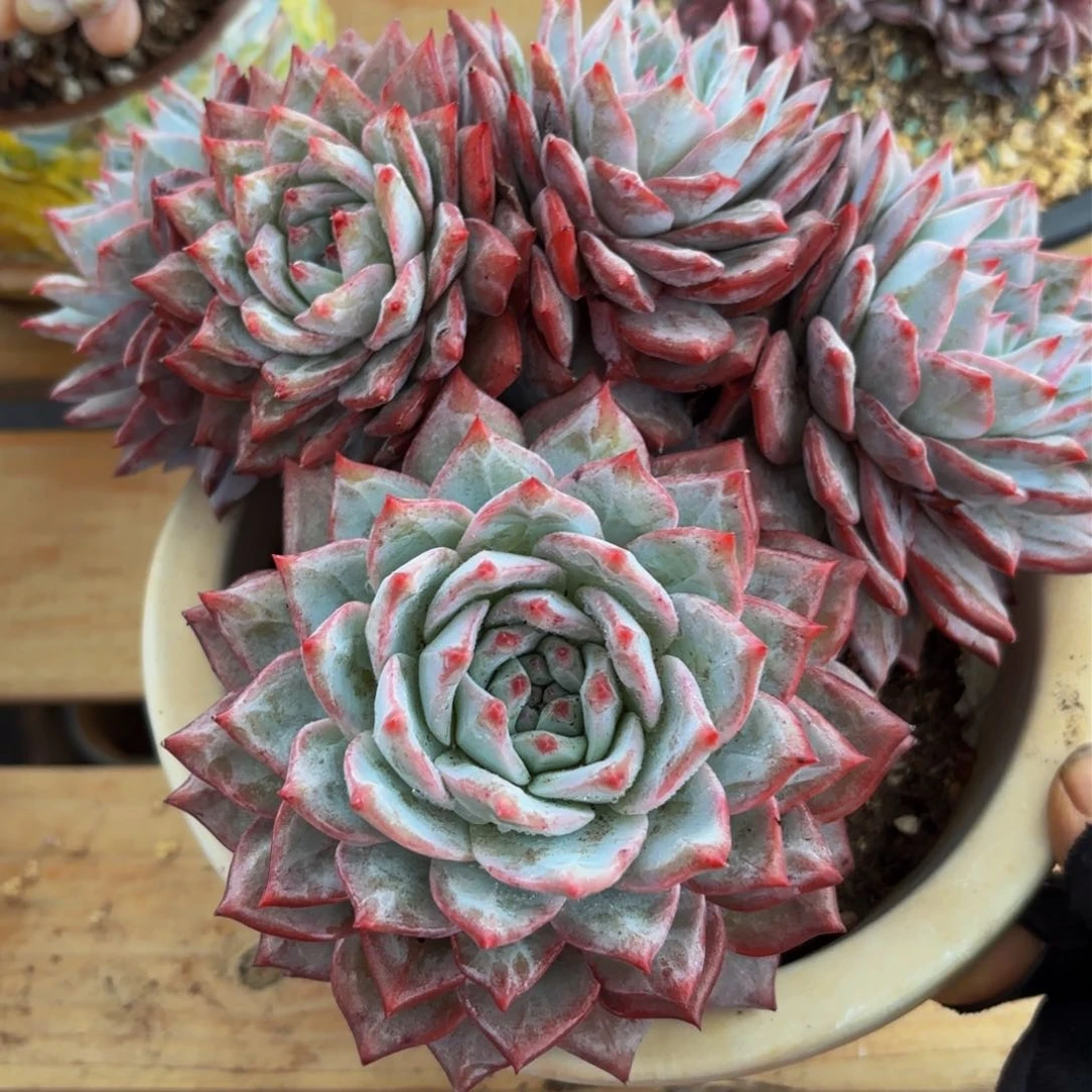 哈哈哈哈哈哈哈哈哈哈哈哈哈