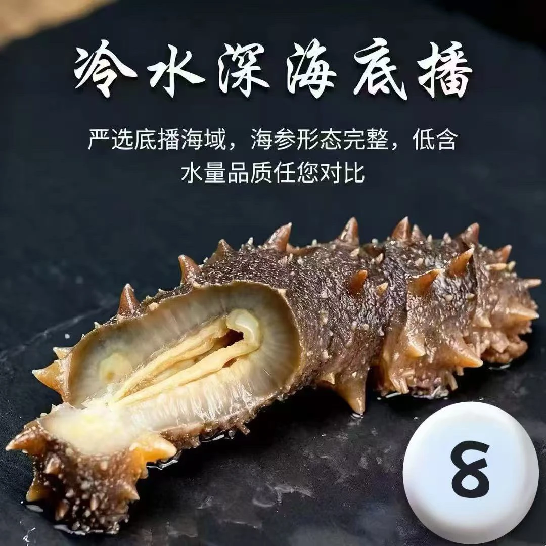 福利款 即食海参（冷冻）