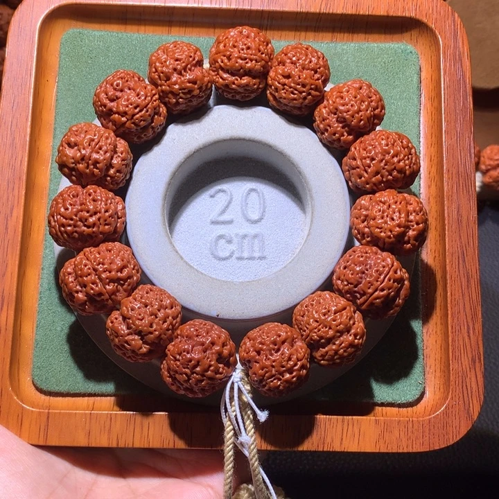 手串金刚菩提21+龙爪梅花