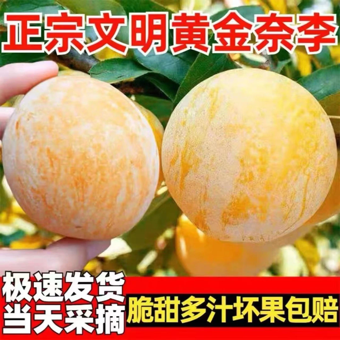 【汝城奈李妞牛爸专属链接】汝城文明黄金奈李脆甜恐龙蛋  脆甜李子