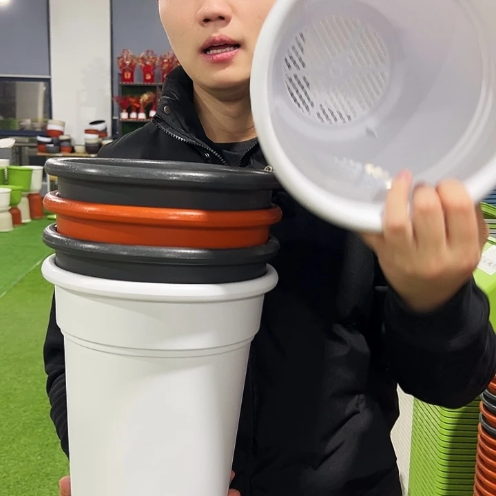 清仓翻边口23高25混色5只无托