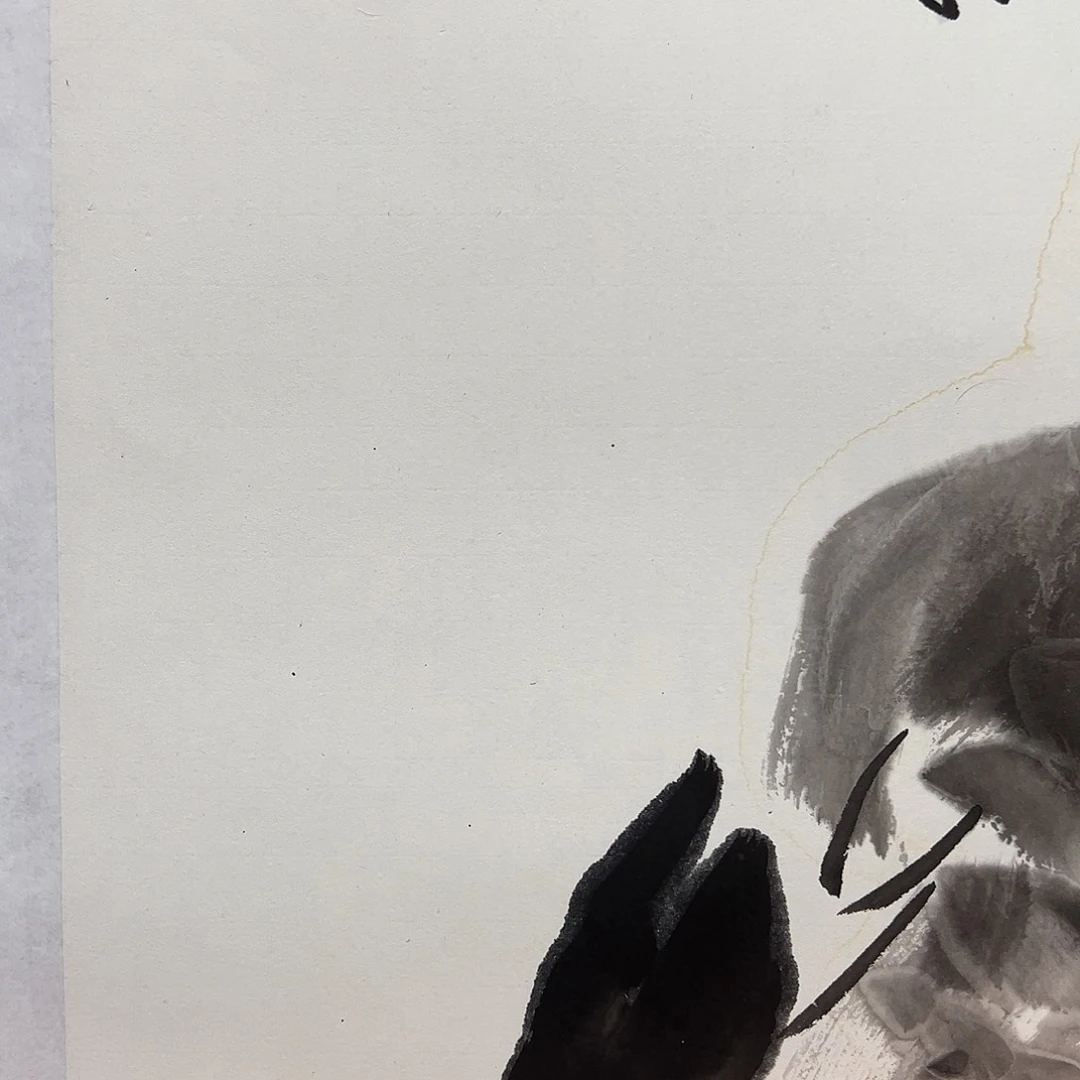 孙***鸟11111111111111111111