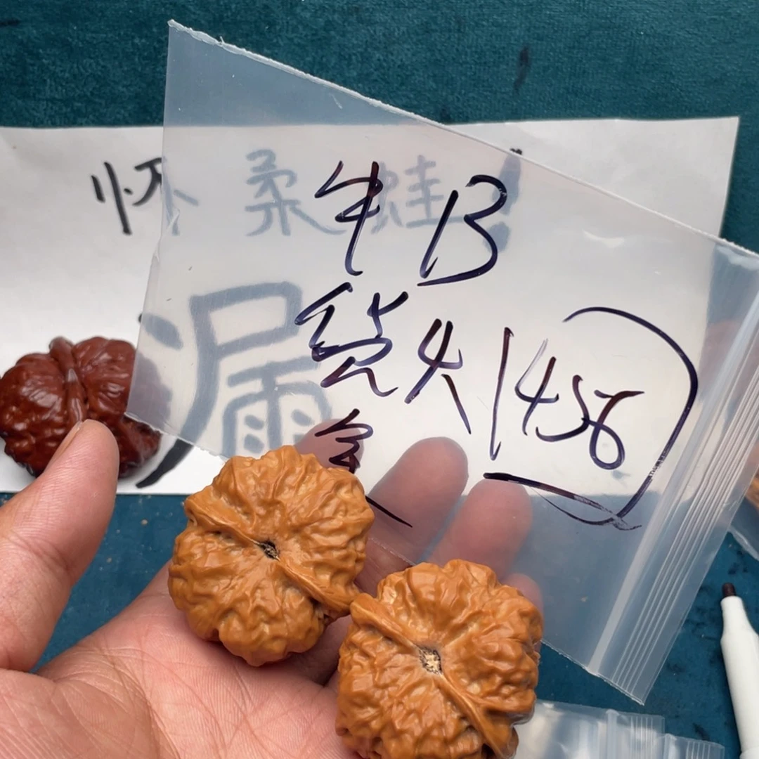 我***你核桃W9474977409744794469