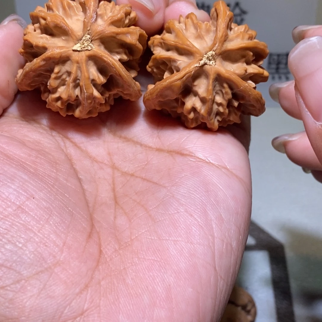 c***w核桃手串/手链三棱