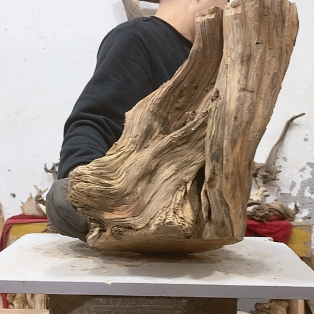 【闪购商品】柏木龙****艺我们都是好孩子