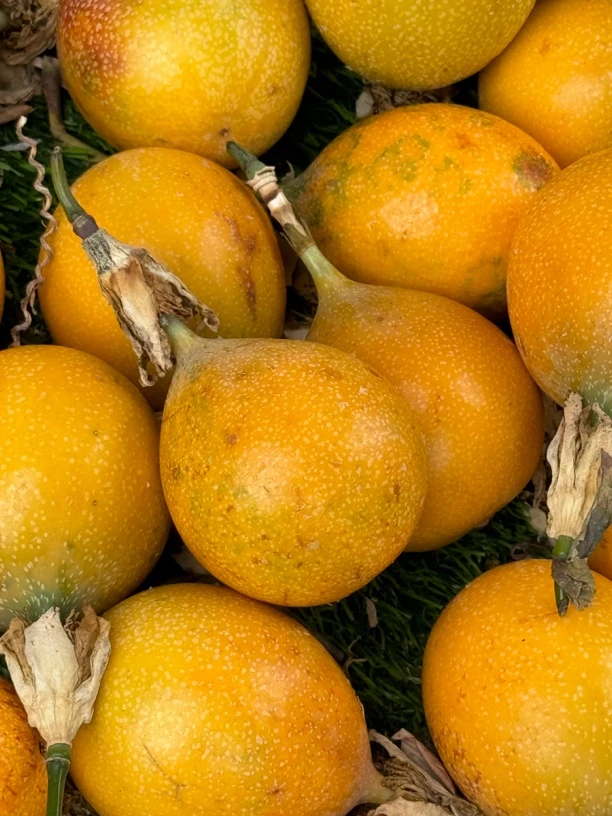 【滇缅源头山货】热情果果