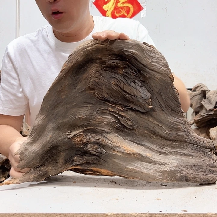 柏木祥**鹤我们的生活是一个