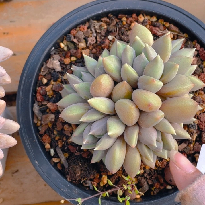 谢谢你的支持00000001078