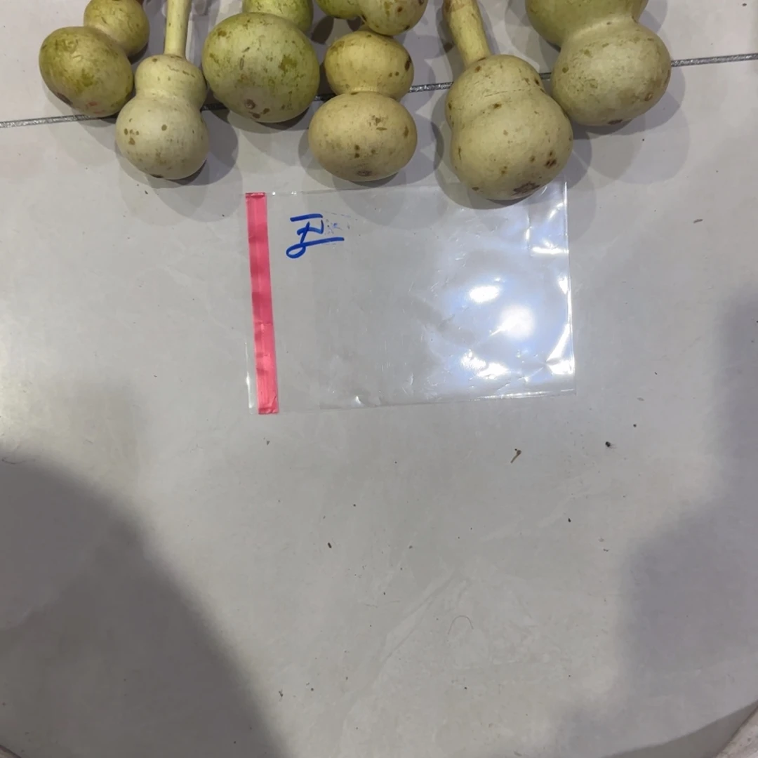 用***2青及不包成ghhggggggggh