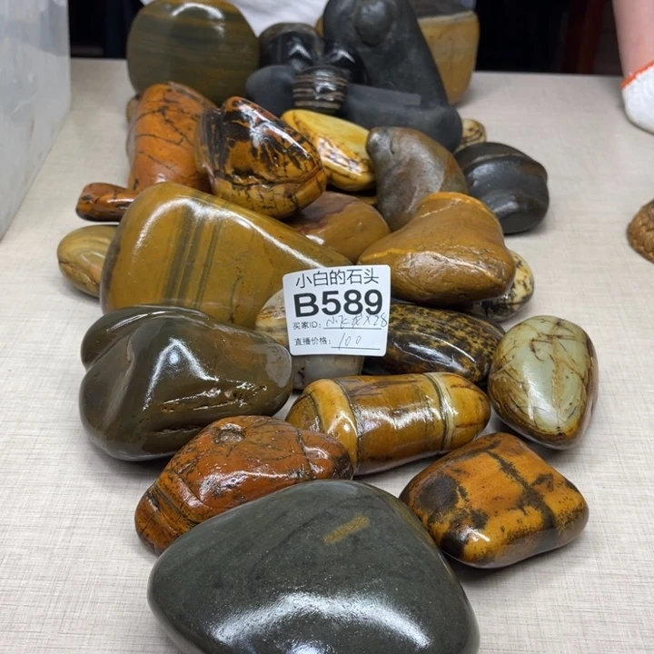 有机玻璃小*龙大化大湾彩陶