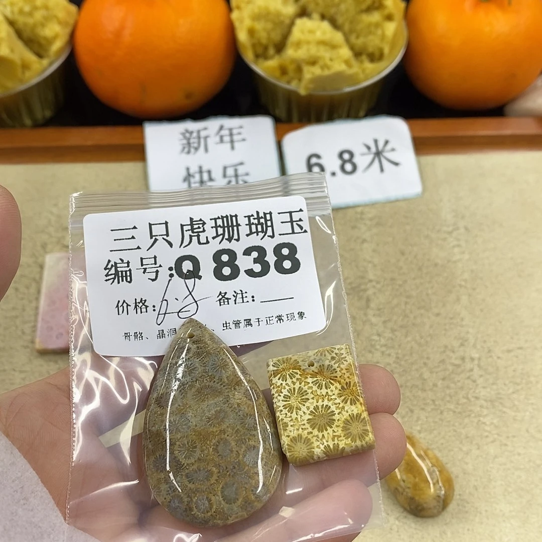 硅化珊瑚（珊瑚玉）1未镶嵌用****舞