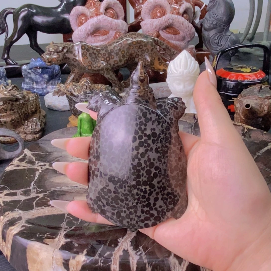 天然金钱石甲鱼茶宠摆件12cc孤品