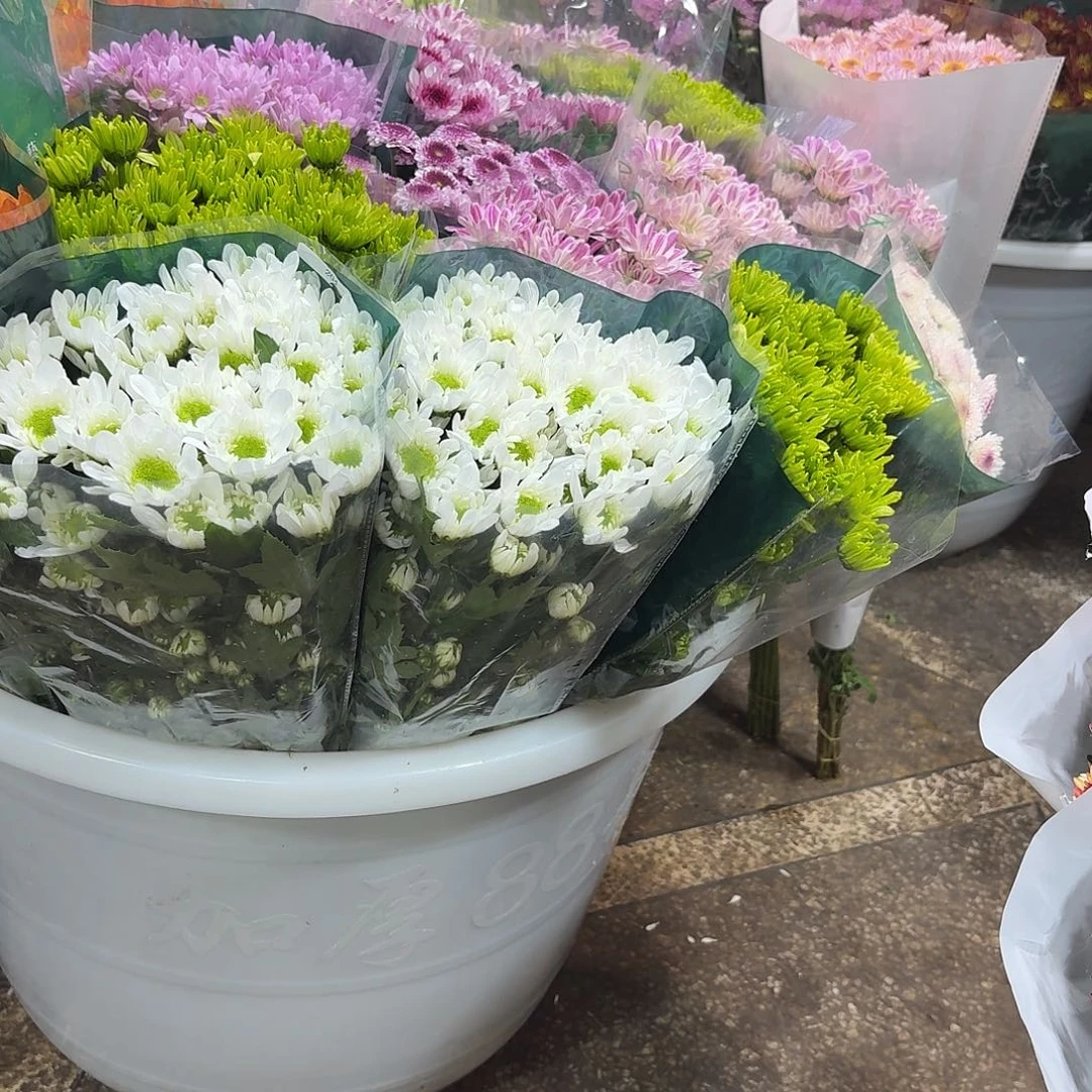 加购海南小菊1把