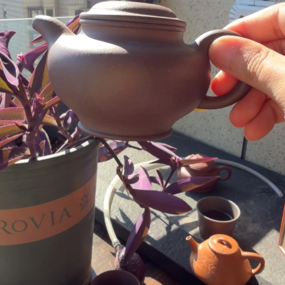 紫砂茶壶紫砂壶11111111