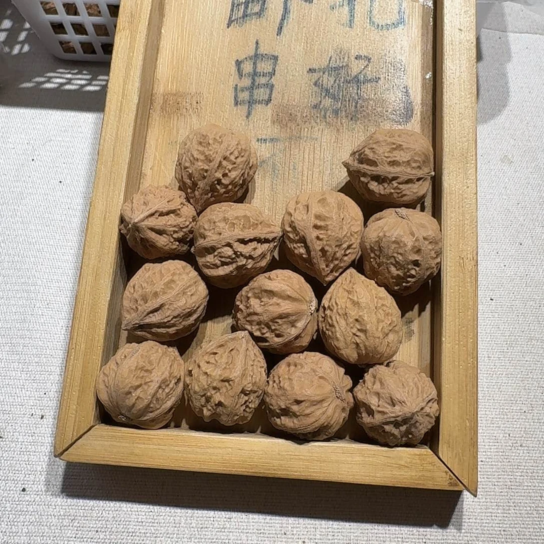 核桃手串/手链65号边23手串