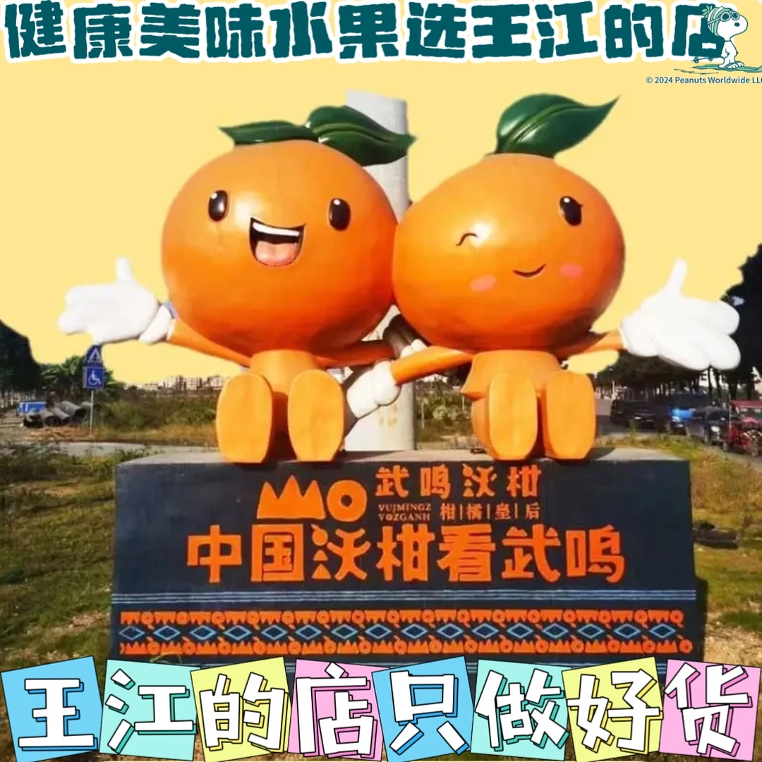 【王江的店】广西武鸣沃柑/天津河北陕西山西专属链接