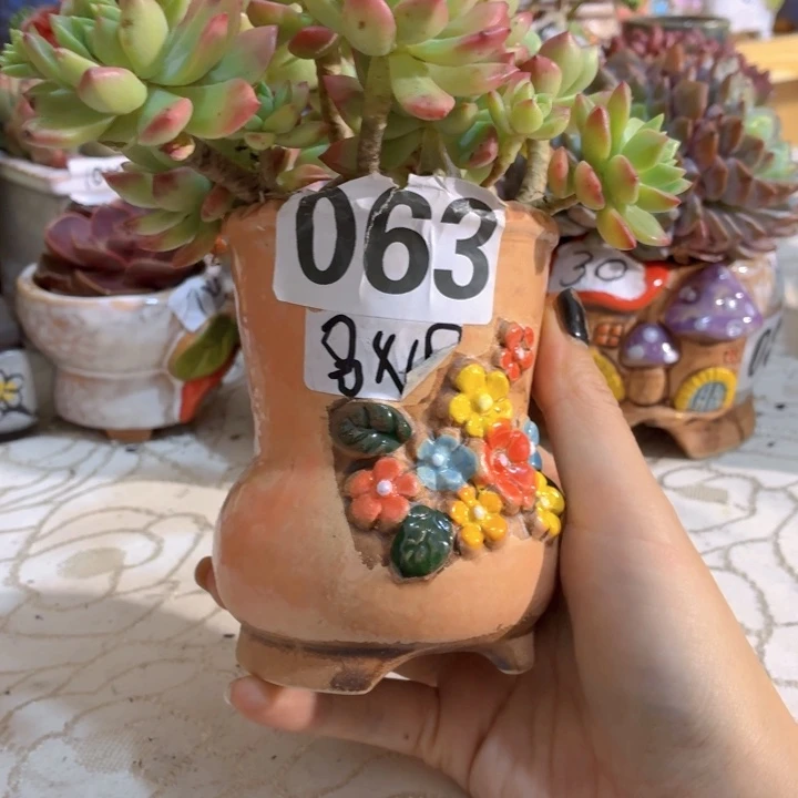 多肉花盆满15包邮