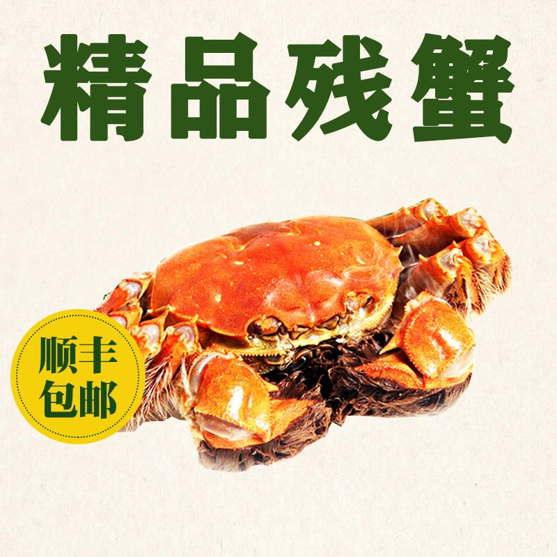 【活蟹】兴化大闸蟹母2.8-3.1两公3.3-3.6两6-8只3斤装塘口直发