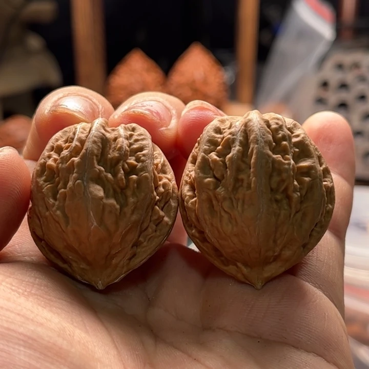 文玩核桃把件楸大胖93