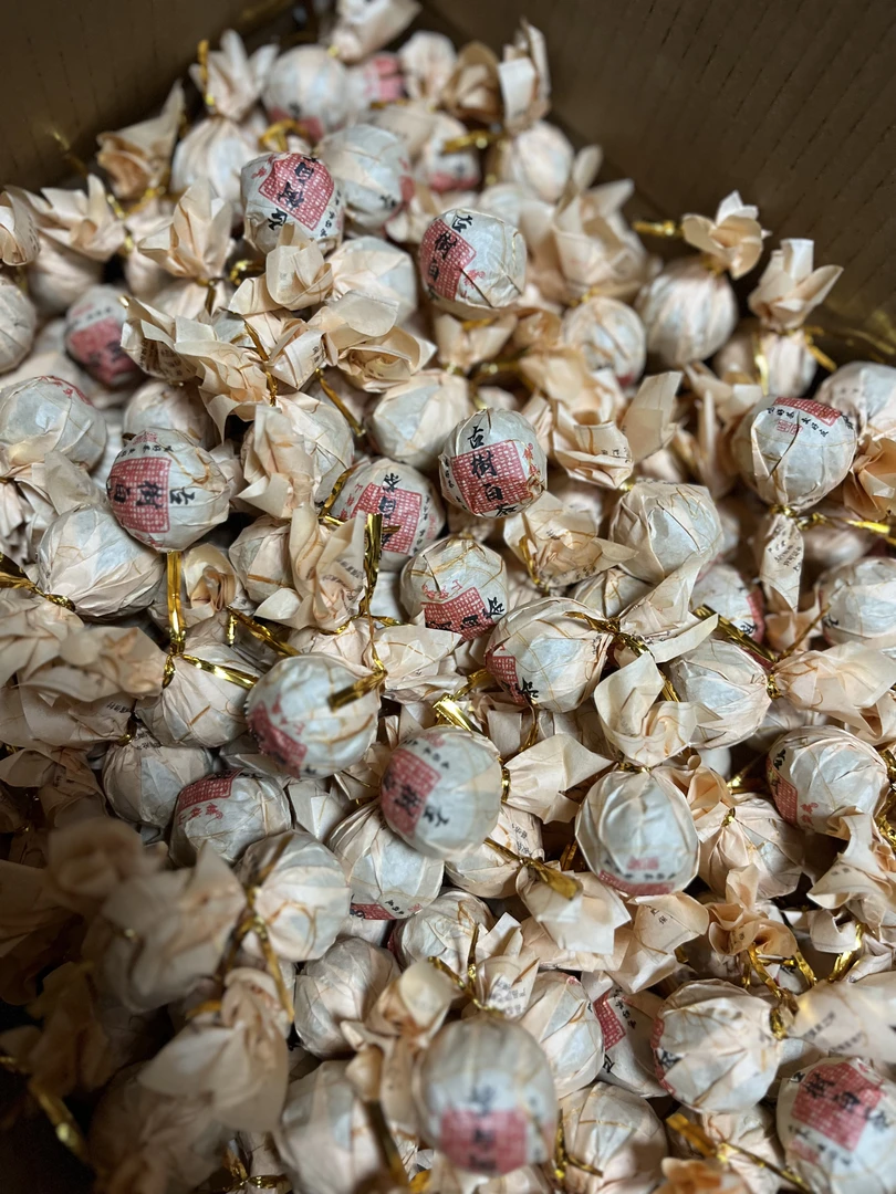 2024年春【古树白茶】龙珠