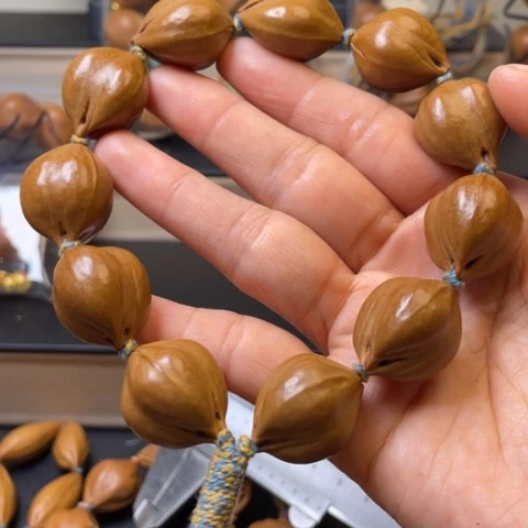 手串/手链贝壳橄榄核2.0/60