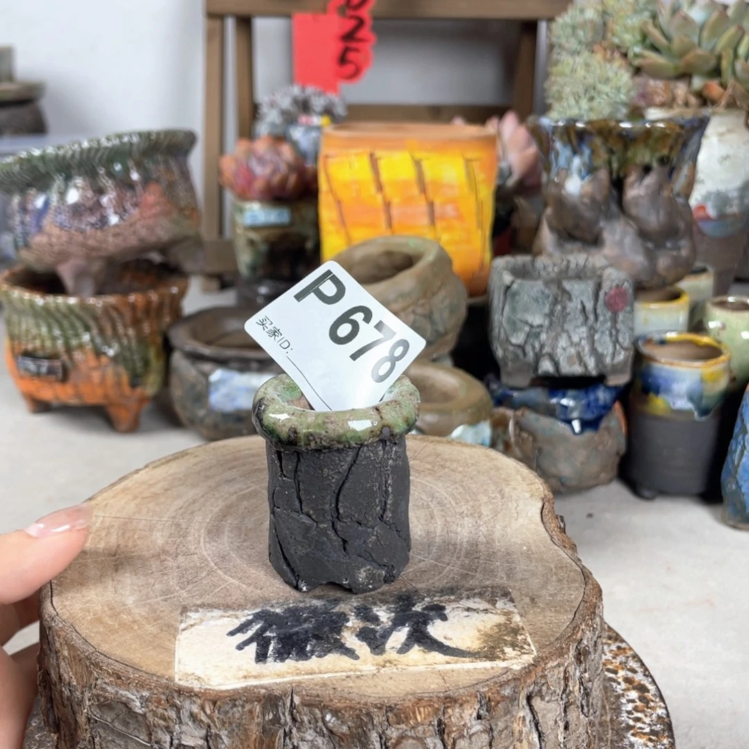 紫砂花盆开播福利 陶瓷花盆