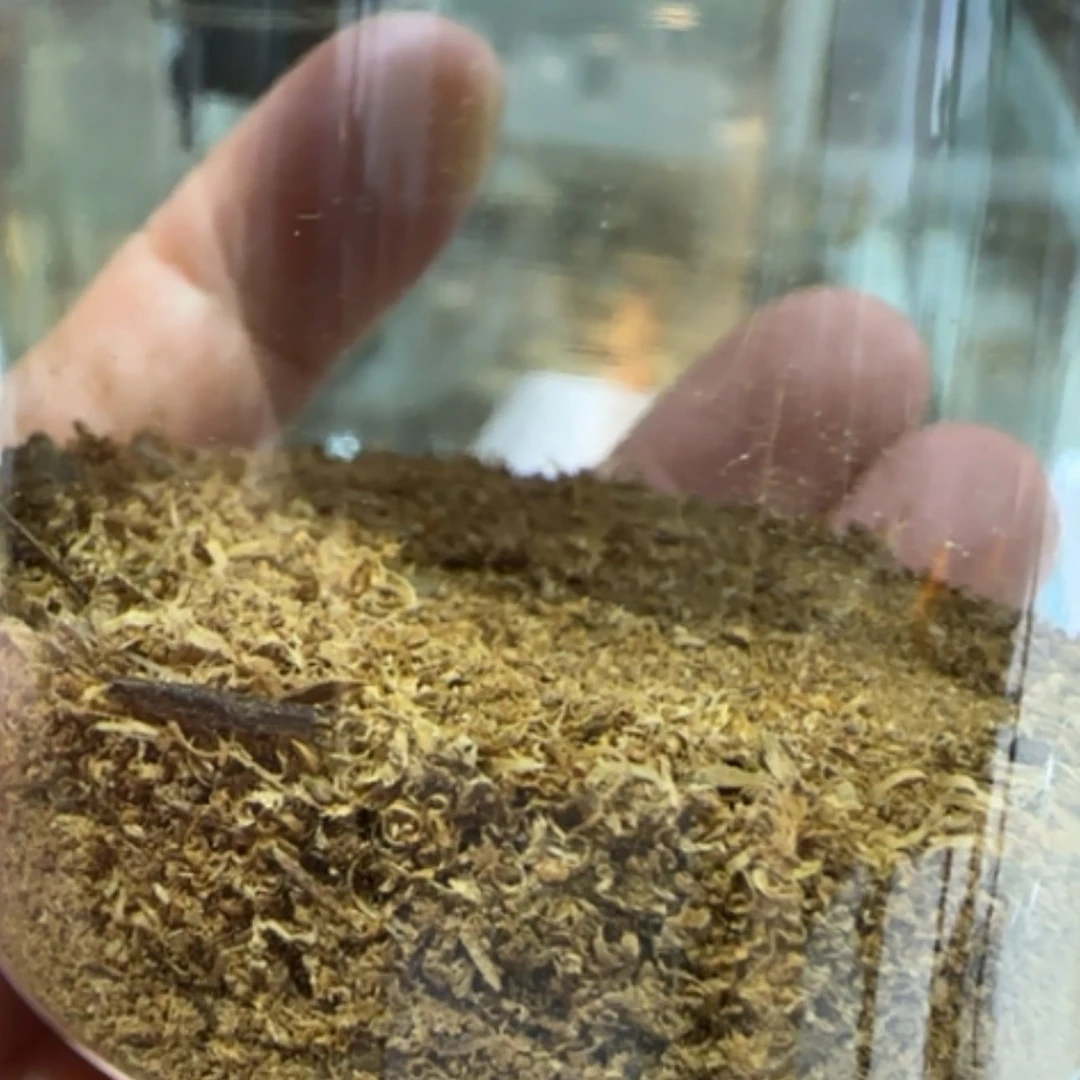 【闪购商品】沉香手串印尼沉香品香粉7.4克