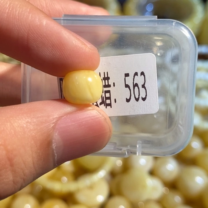 琥珀未镶嵌珠宝奇石563