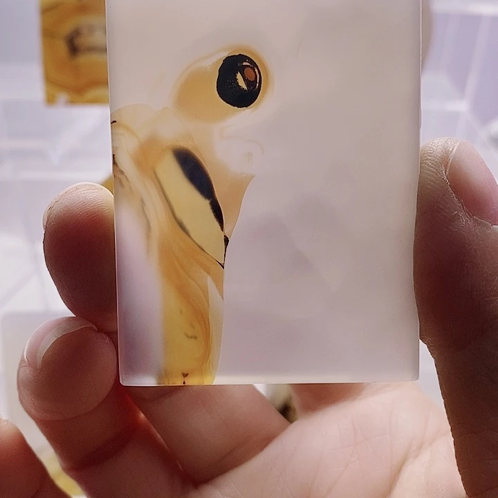 玛瑙/玉髓未镶嵌珠宝奇石