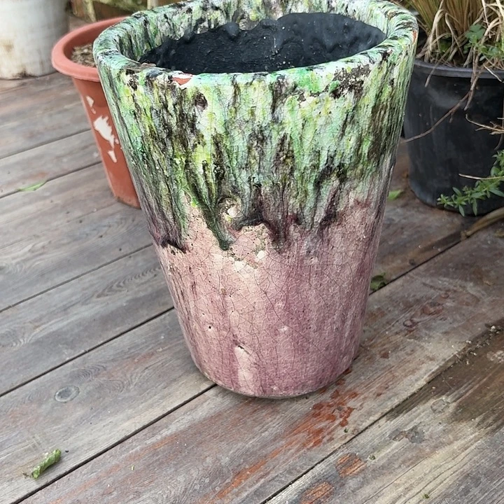 许纯的花房 孤品012