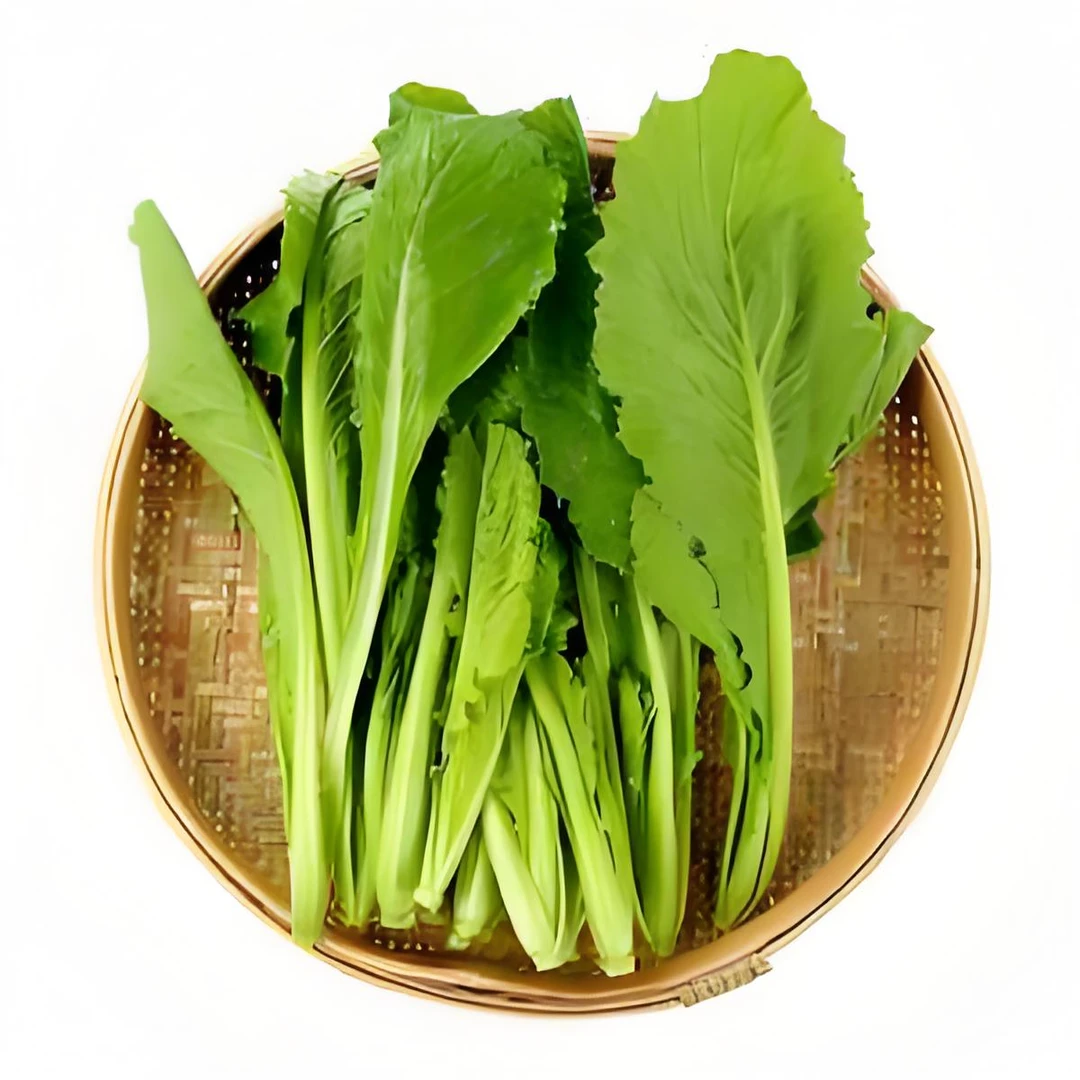 云南高山-苦青菜