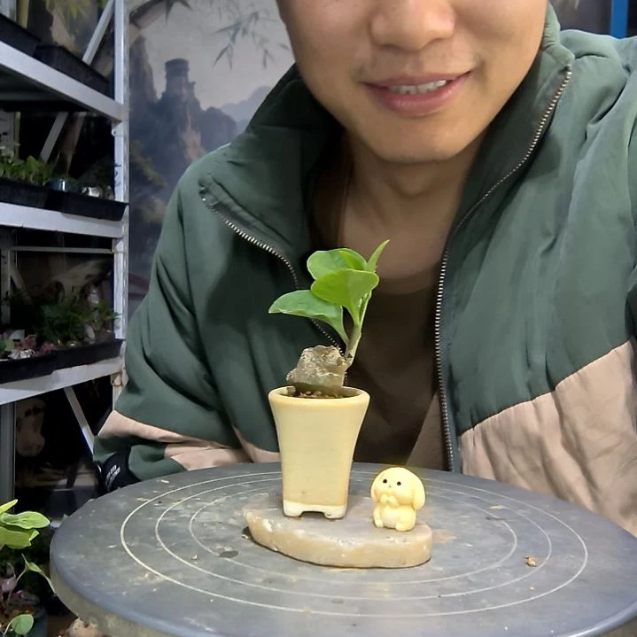 1*t中青园艺一物一拍288