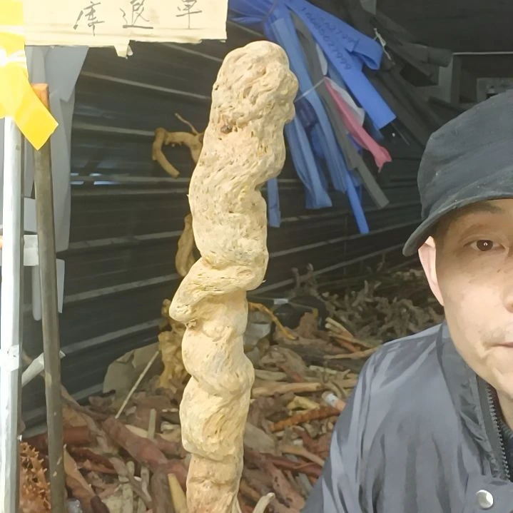 稳定木筠**?贵州檬子木   铁马鞭   根艺  半成品