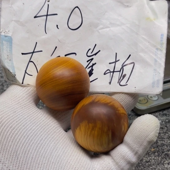 柏木（崖柏）崖柏28