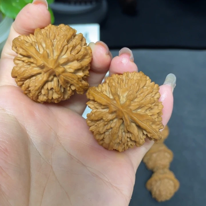 小***牙核桃把件秦岭核桃栽培状元官5