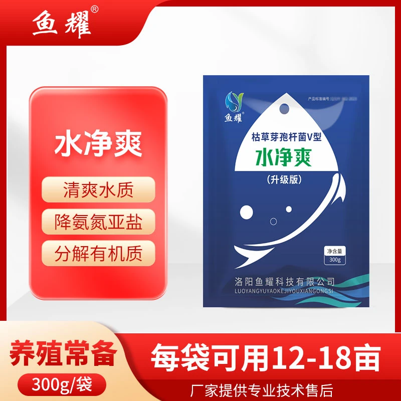 鱼耀千亿水净爽芽孢杆菌净水分解有机质水产养殖氨氮预混合饲料