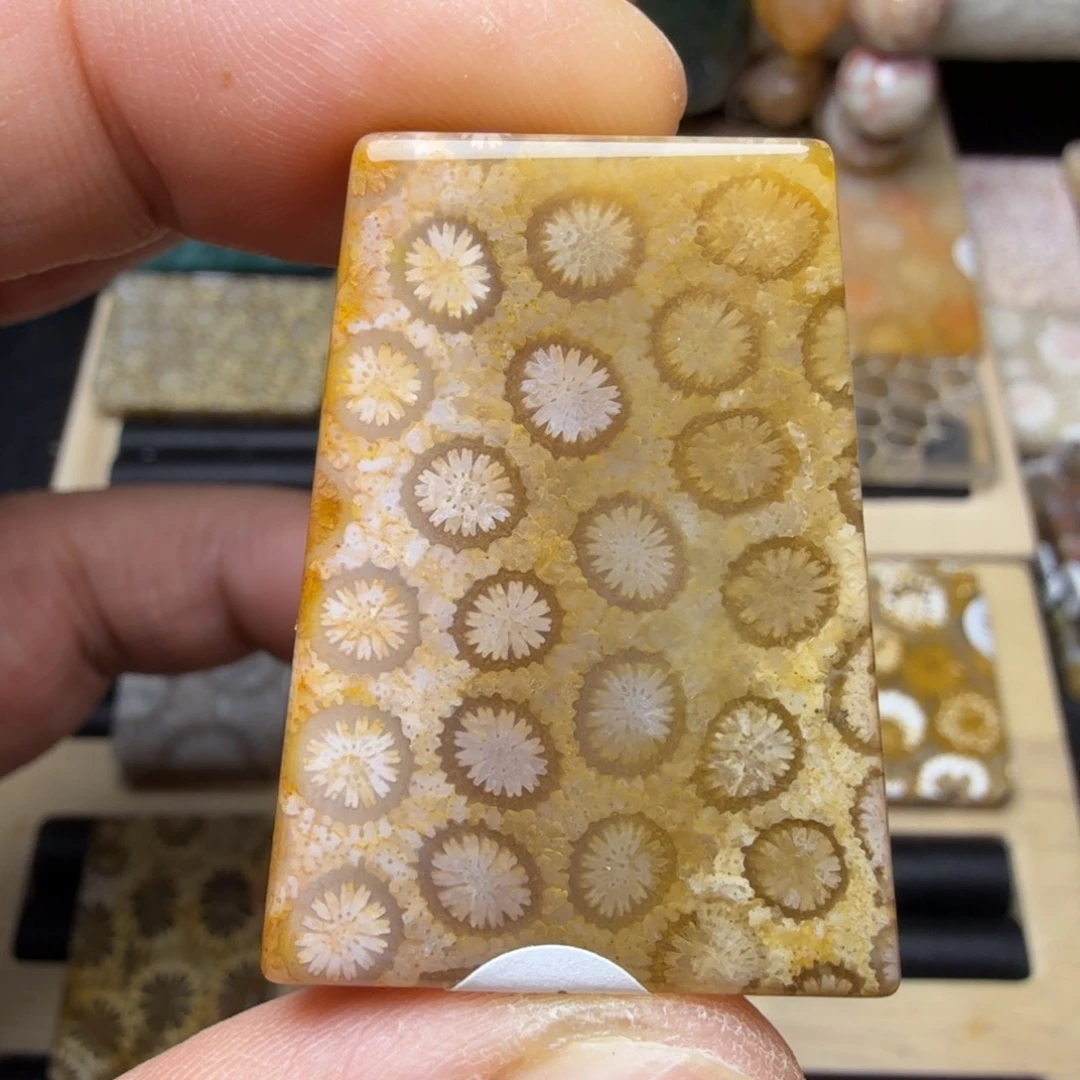 硅化玉未镶嵌纯天然色有机玉石保真色