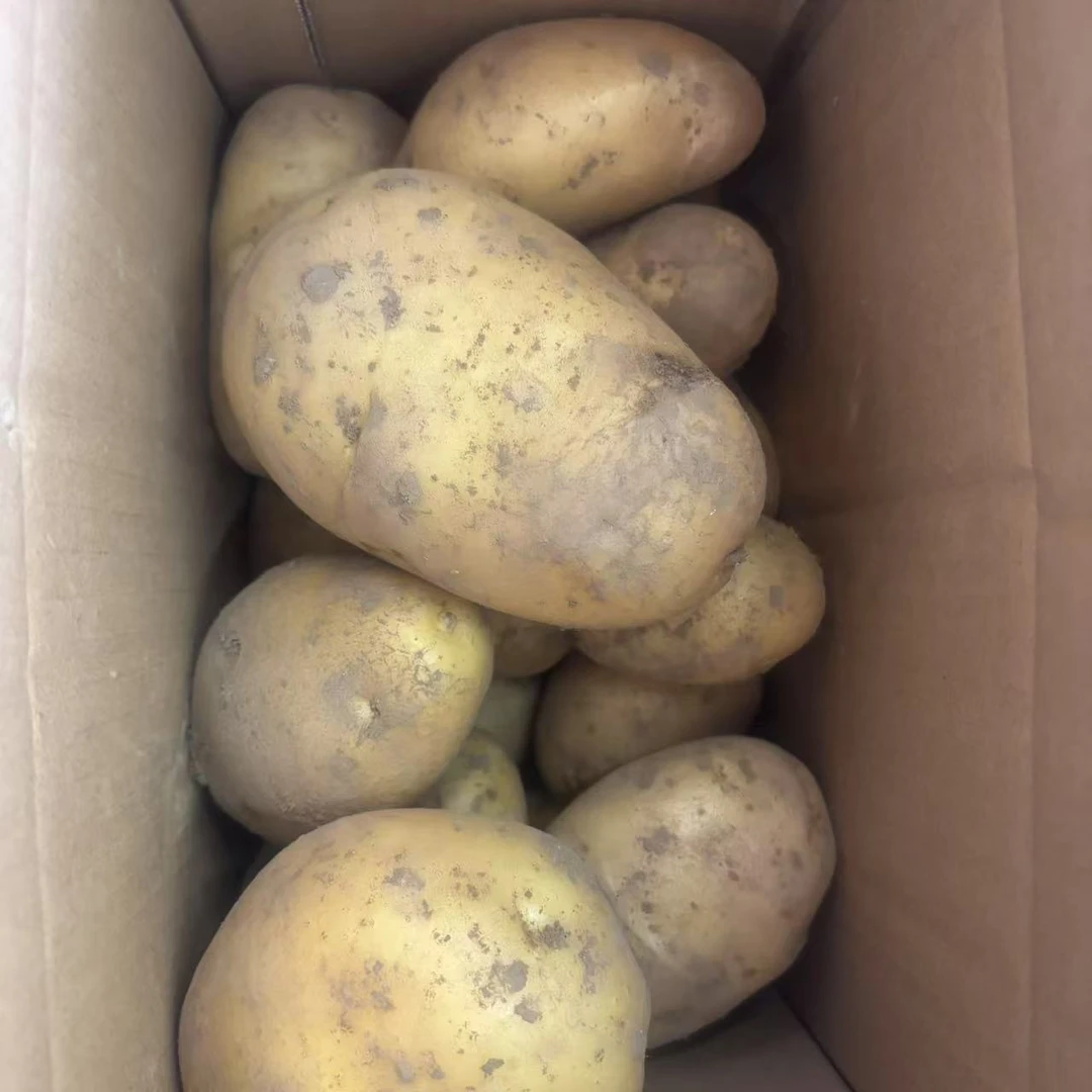 【兰帝专属】新鲜现挖土豆